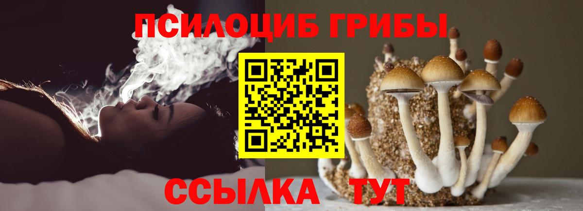 Дзержинск  Галлюциногенные грибы мухоморы  Вход с VPN 